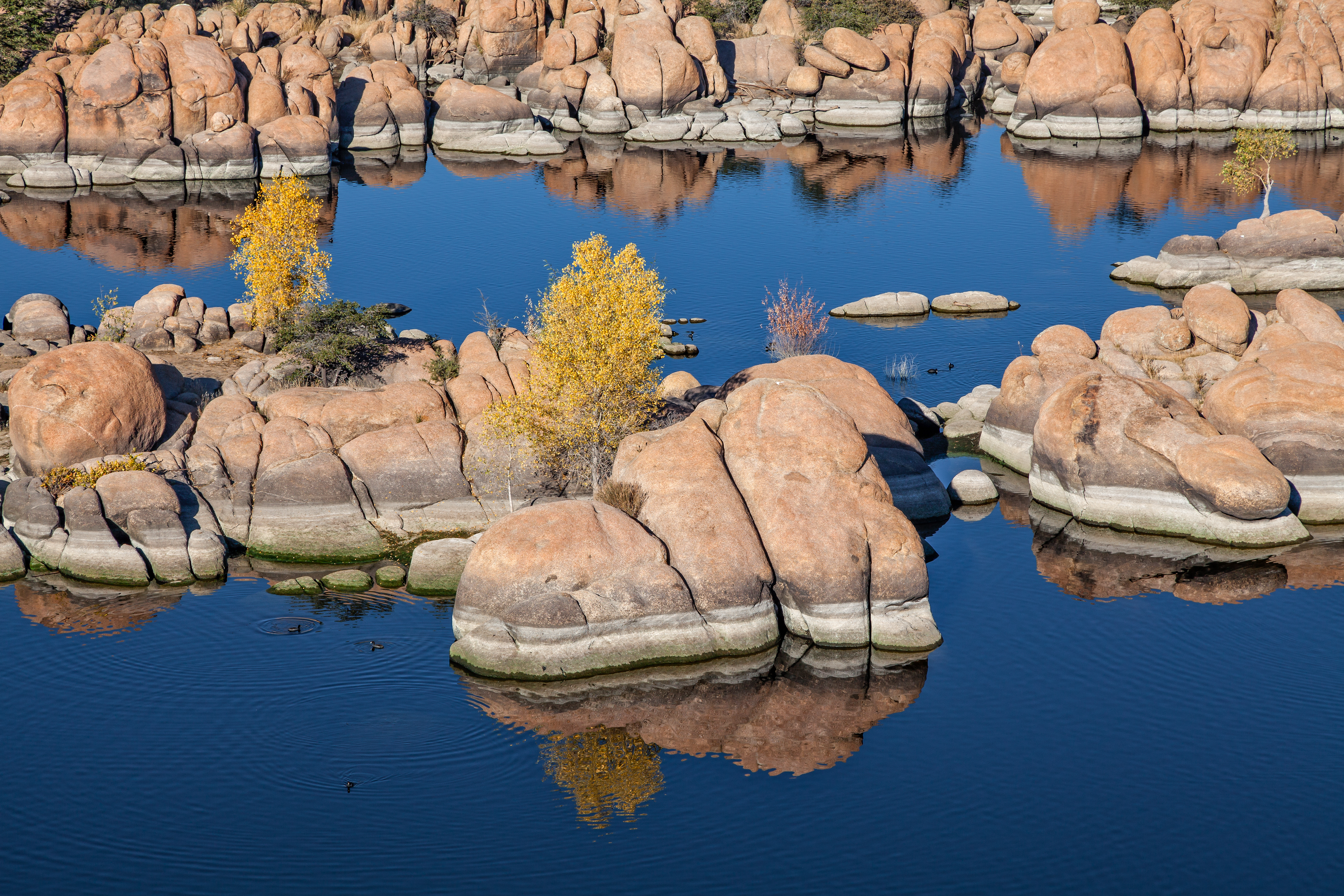 Watson Lake Prescott AZ