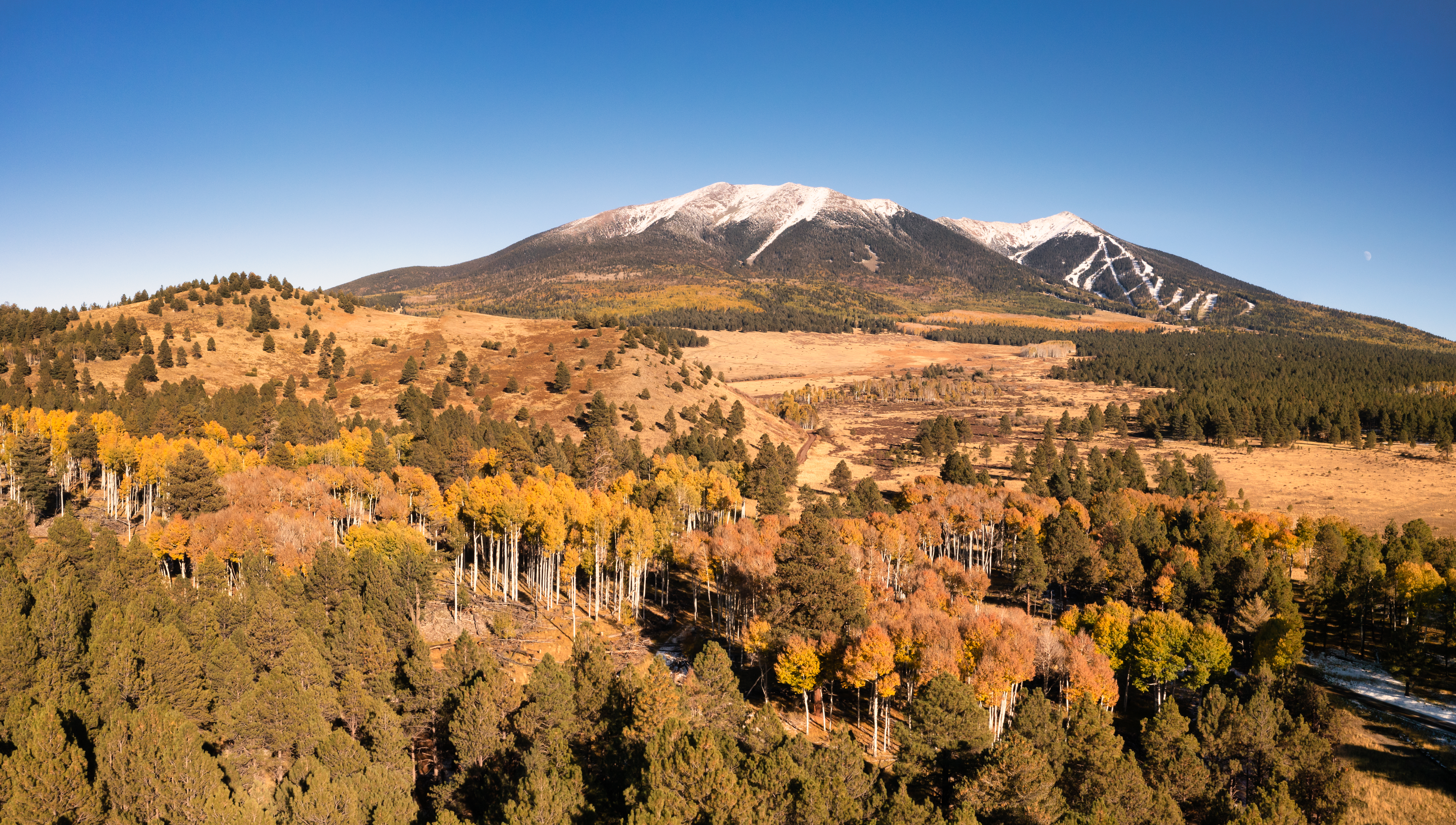 View of the San Francisco Peaks
