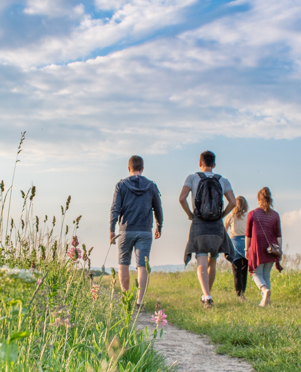 group of men and women walking along nature trail with their backs toward the camera