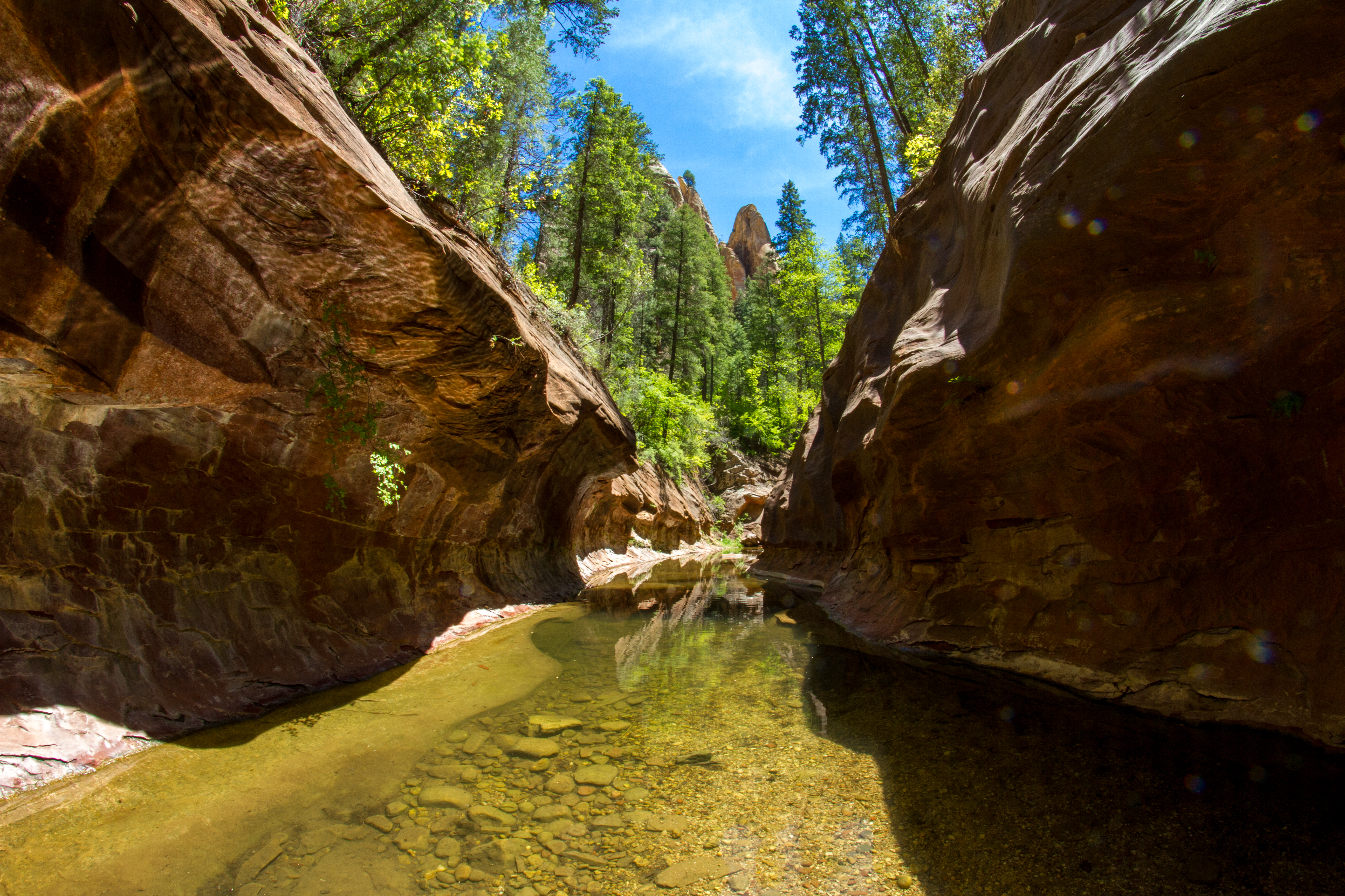 West Fork Oak Creek Trail