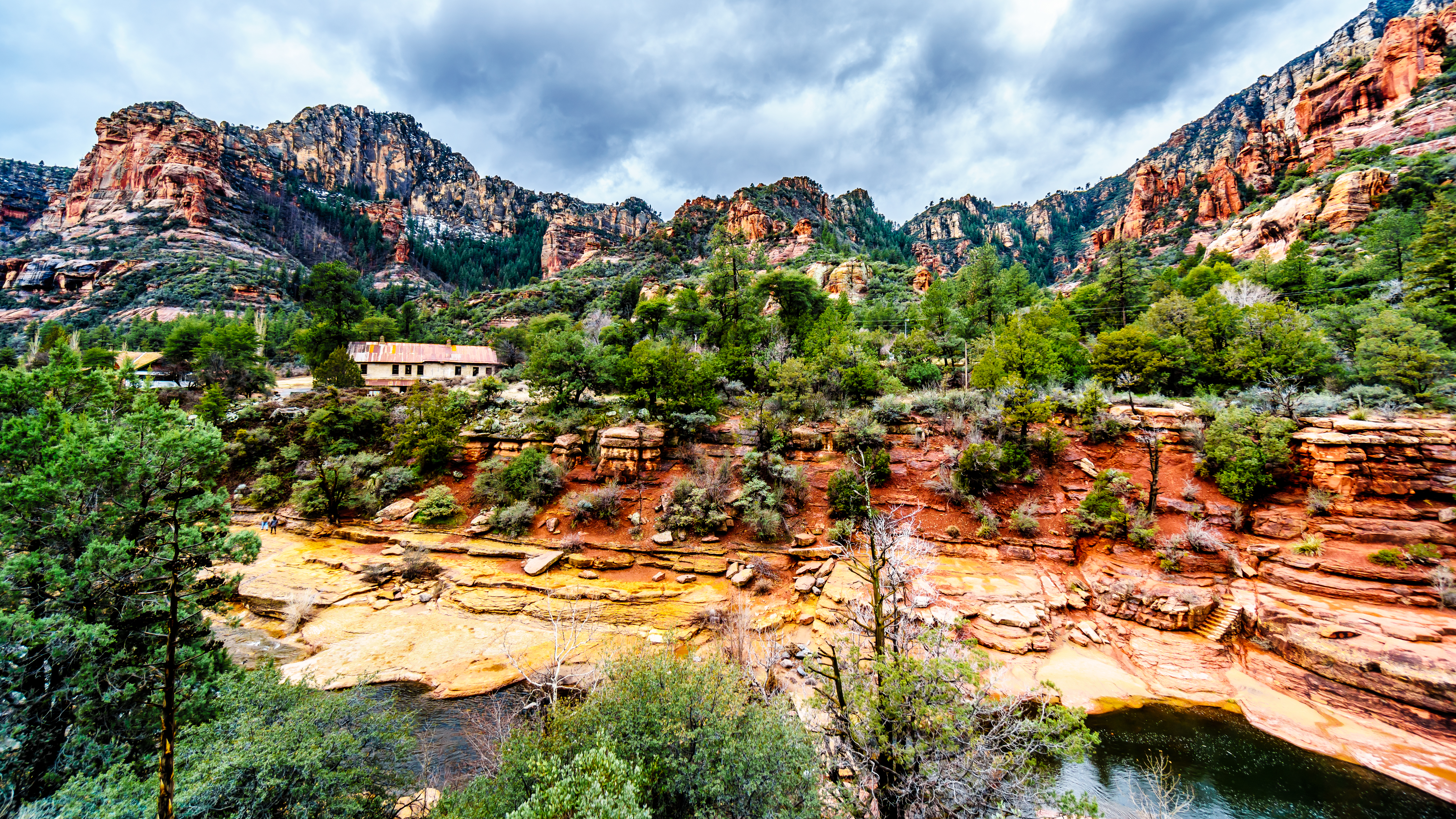 View of trees and the creek of Slide Rock State Park.